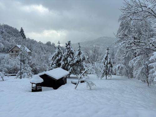 einen schneebedeckten Hof mit einem Haus und Bäumen in der Unterkunft Casa Berg in Vişeu de Sus