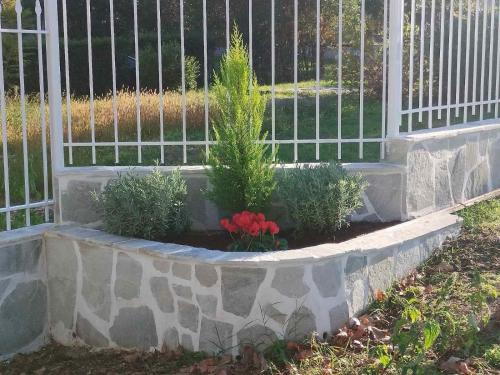 un jardín con tres plantas frente a una valla en Litochoro apartment in Estate A1, en Litóchoron