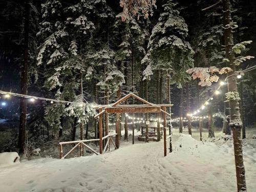 ein schneebedeckter Park in der Nacht mit Lichtern in der Unterkunft Borovets Villa Park studio in Borowez