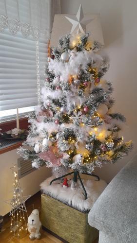 a christmas tree with lights on it in a room at Condominio - Guglielmo Tell in Sestriere