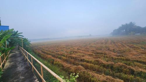 un campo de cultivos con una valla en primer plano en BaanlungchuHomestay&Cafe, en Amphoe Mae Taeng