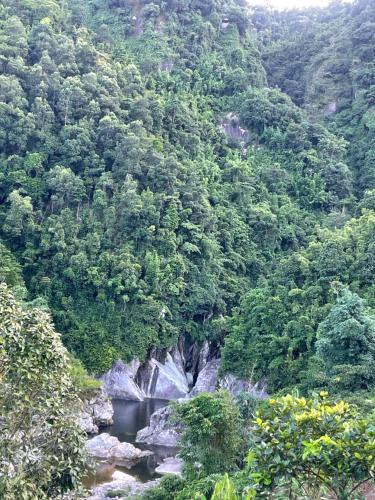 a mountain with a river in the middle of a forest at Sapa Orange Homestay in Sa Pa