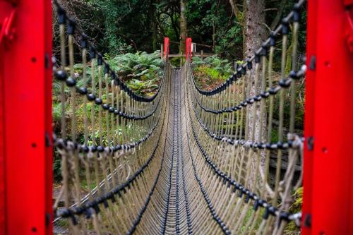 un ponte sospeso in una foresta con corde di Kells Bay House and Gardens a Kells