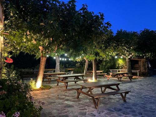 een groep picknicktafels onder de bomen 's nachts bij L'Albadu in Corte