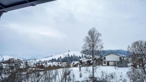 una casa en una colina con nieve en el suelo en Lion, en Bukovel