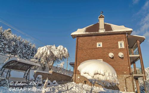 FAVAR Carpathians през зимата