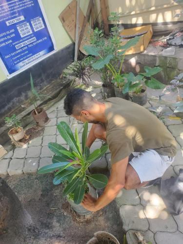 un hombre agachado para mirar una planta en L&J Modern Backpackers Kinondoni, en Dar es Salaam