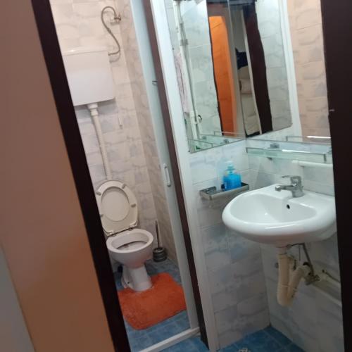 bagno con servizi igienici e lavandino di Apartment Viktor stan na dan a Šabac