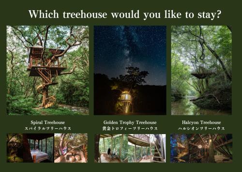 Bilde i galleriet til Treeful Treehouse Sustainable Resort i Nago