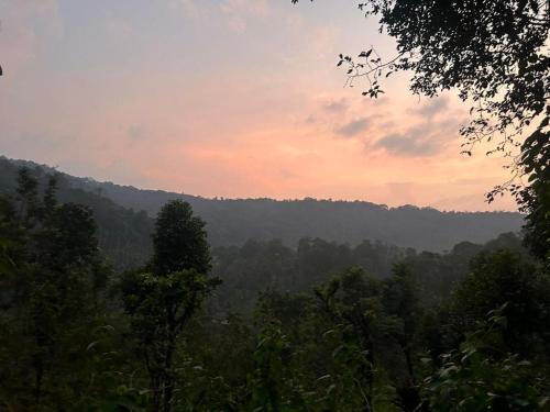 - Vistas al bosque de árboles al atardecer en Adis Home - with Beautiful Waterfalls, en Kalasa