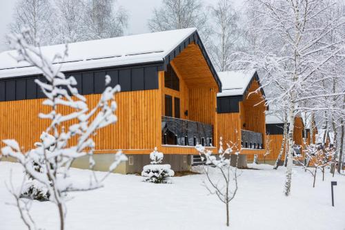 スキュネイザにあるPhoenix Medical Resortの雪に覆われた建物