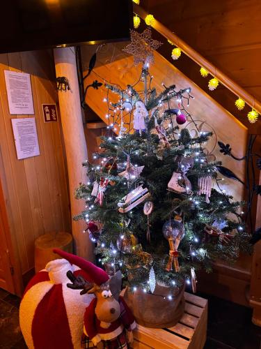 Un árbol de Navidad con un adorno de alce. en Domki u Magdy, en Zakopane