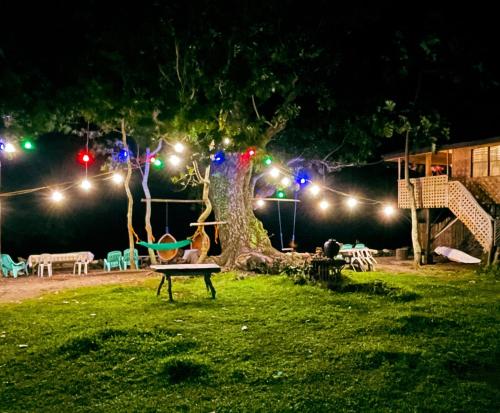 un parc de nuit avec un arbre éclairé dans l'établissement Borbon's Treehouse By the Sea, à Mambajao