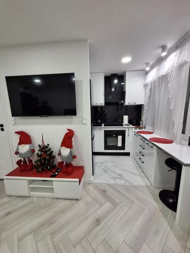 Majoituspaikan Apartament Premium Tarnów keittiö tai keittotila