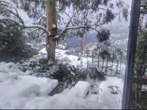 a snow covered yard with a fire hydrant at Aaram Baagh Simla in Shimla