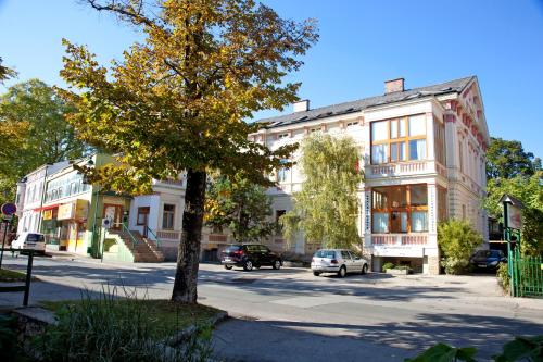 a tree in front of a building on a street at Appartementhaus Witzmann in Bad Vöslau