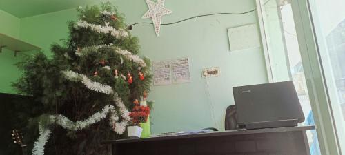 ein Weihnachtsbaum in einem Büro mit einem Computer in der Unterkunft Kmt green house ooty in Udagamandalam