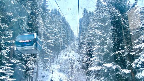 un remonte subiendo una montaña cubierta de nieve en Alpen Appartements Oberlehengut, en Werfenweng