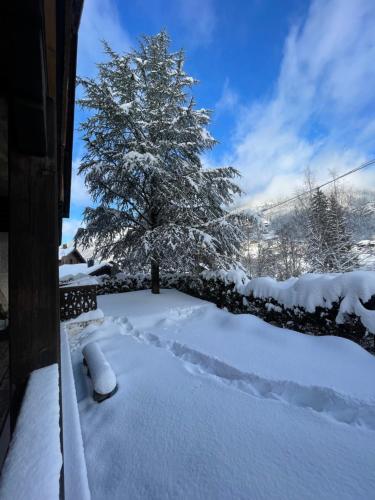 Chalet Yuki durante el invierno