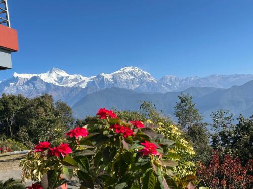 een plant met rode bloemen en bergen op de achtergrond bij Hotel Pristine Himalaya in Pokhara