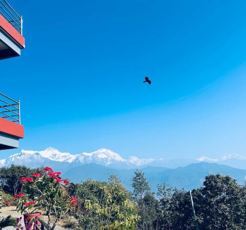 een vogel die in de lucht over de bergen vliegt bij Hotel Pristine Himalaya in Pokhara