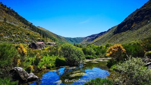 曼泰加什Casa das Faias - Serra da Estrela的山谷中一条河流