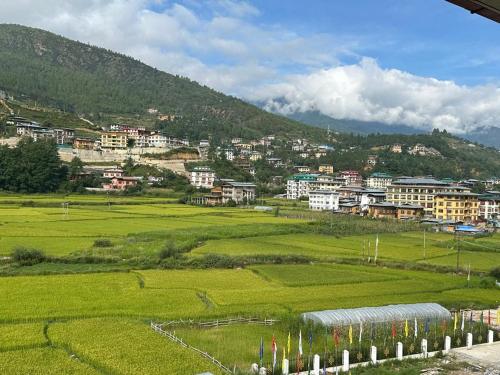 een groen veld met een stad op de achtergrond bij Green valley boutique in Paro