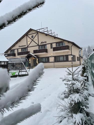 een gebouw bedekt met sneeuw met een boom voor de deur bij Pensiunea Maria in Colibiţa