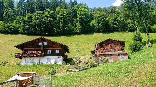 deux maisons dans un champ planté d'arbres en arrière-plan dans l'établissement Känzeli - Ferienwohnung mit Traumaussicht, à Beatenberg