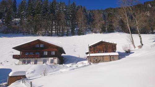 deux bâtiments en bois dans un champ enneigé dans l'établissement Känzeli - Ferienwohnung mit Traumaussicht, à Beatenberg