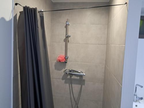 een douche in een badkamer met een douchegordijn bij Appartement de vacances in Illkirch-Graffenstaden