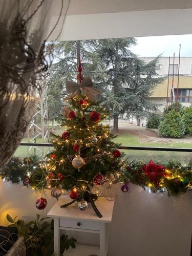 Un árbol de Navidad en una mesa frente a una ventana en Lux Tea Pancevo, en Pančevo