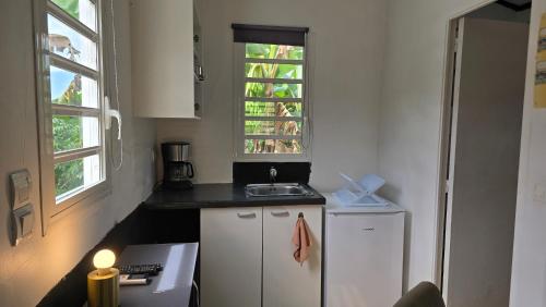 a small kitchen with a sink and a window at Evasion Authentique en Tiny House - 1 Champagne OFFERT - Le Paradis des Petits Voyageurs in Le Diamant