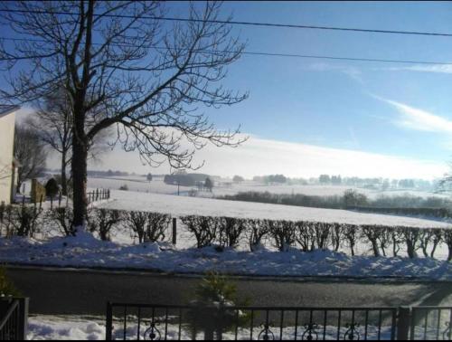 un campo innevato con un albero e una recinzione di Lanonweye a Waimes