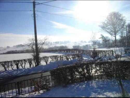 una recinzione ricoperta di neve accanto a un campo di Lanonweye a Waimes