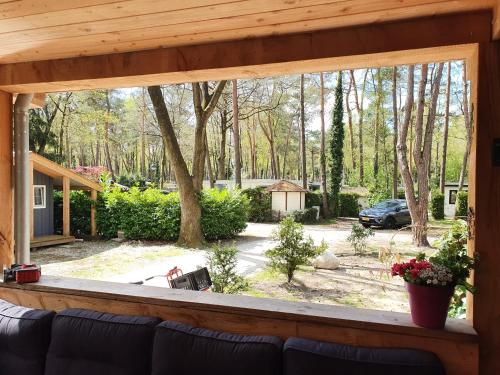 Blick aus einem Wohnzimmerfenster auf einen Hof in der Unterkunft Chalet bosrijk Midden in de natuur-eten&drinken-activiteiten-ontspanning-huisdieren welkom-en nog veel meer in Hoenderloo