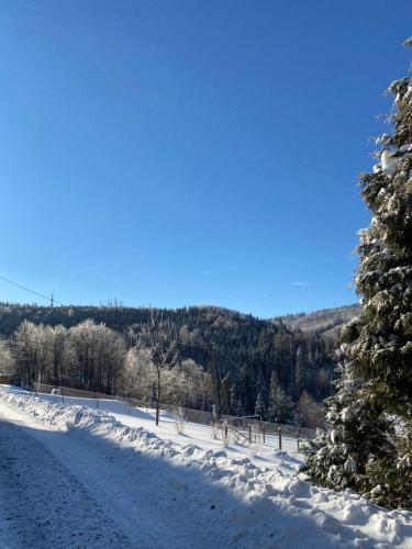 une route enneigée avec un arbre sur le côté dans l'établissement Duszek Lasu, à Brenna