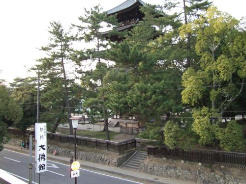 Foto da galeria de Daibutsukan em Nara