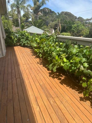 eine Holzterrasse mit einem Haufen grüner Pflanzen in der Unterkunft StaySorrento in Sorrento