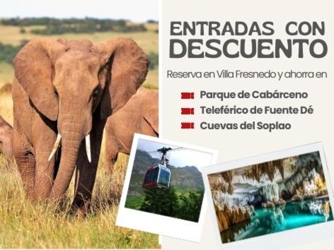 a flyer with a picture of an elephant in a field at Apartamentos Villa Fresnedo in Solares