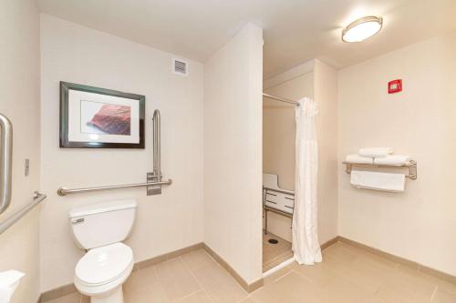 bagno con servizi igienici e lavandino di Hilton Garden Inn Closest Foxwoods a Preston