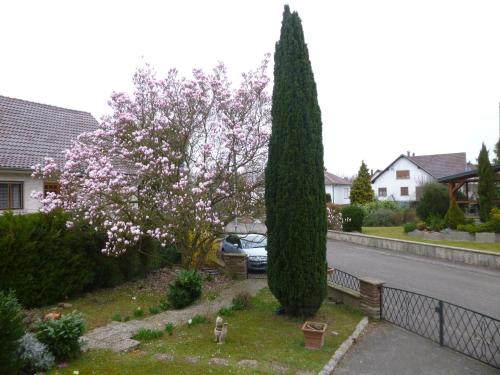 Un jardín fuera de Jardin Fleuri