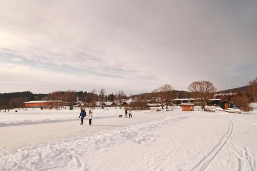 Amenity Hotel & Resort Lipno durante el invierno