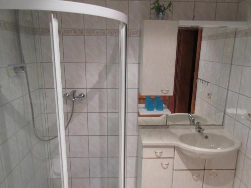 a bathroom with a shower and a sink at Ferienhaus Schulze in Schierke