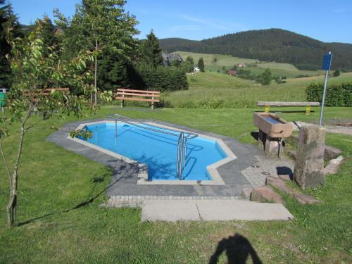 Piscina de la sau aproape de ZUR TRAUBE Schwarzwaldhotel & Restaurant am Titisee