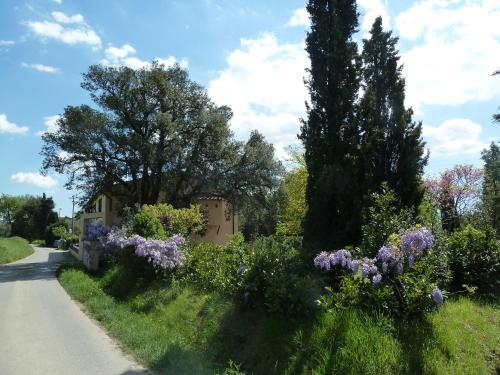 Vrt pred nastanitvijo Al Vecchio Leccio