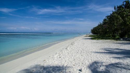 biała piaszczysta plaża z drzewami i oceanem w obiekcie Beach Grand & Spa Premium w mieście Hulhumale