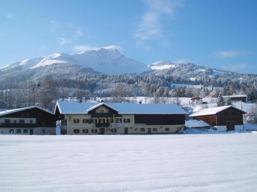 Grieswirt durante el invierno