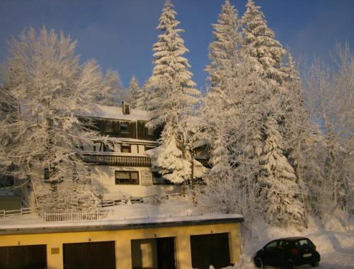 Pension Stiegelmeier talvella