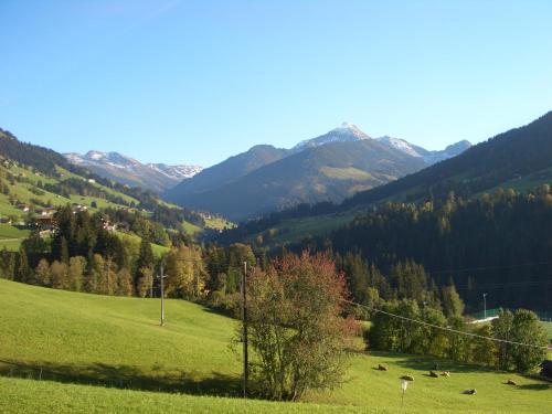 un grupo de vacas pastando en un campo con montañas en Hotel Andreas, en Alpbach